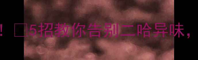 图片 🔥哈士奇体臭原因大！🐾5招教你告别二哈异味，香到邻居求领养！🔥