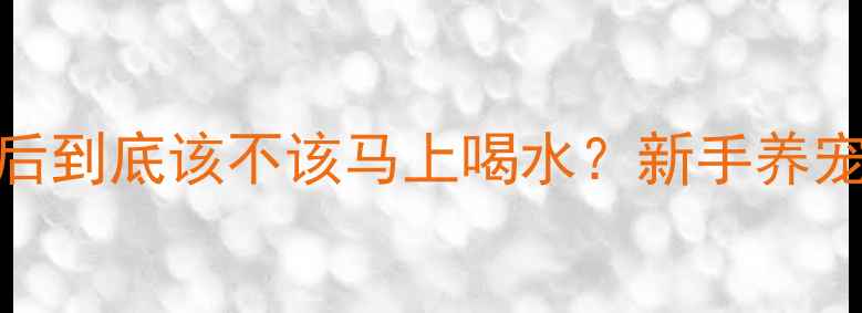 图片 🔥哈士奇吃完狗粮后到底该不该马上喝水？新手养宠必看喂水时间表！