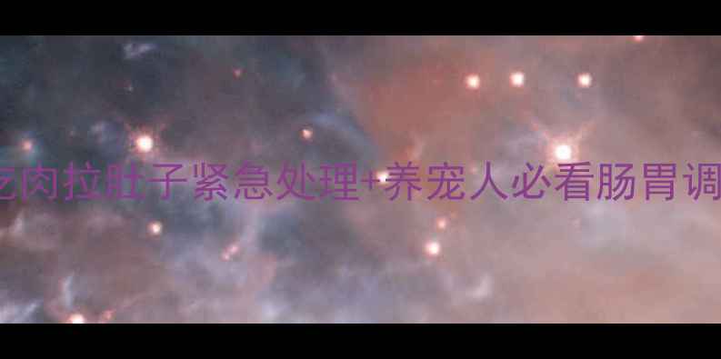 图片 🔥哈士奇吃肉拉肚子紧急处理+养宠人必看肠胃调理指南🔥1