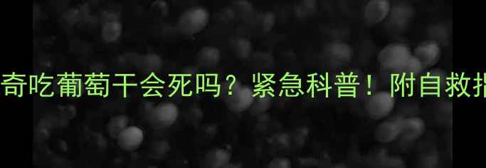 图片 🔥哈士奇吃葡萄干会死吗？紧急科普！附自救指南💡1