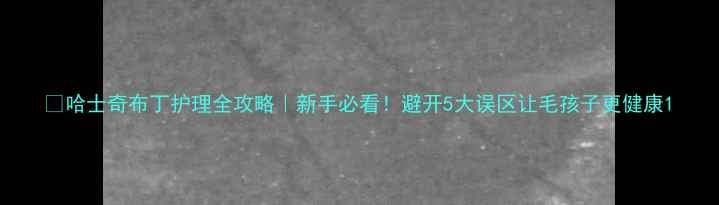 图片 🔥哈士奇布丁护理全攻略｜新手必看！避开5大误区让毛孩子更健康1