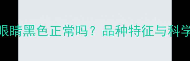 图片 🔥哈士奇幼犬眼睛黑色正常吗？品种特征与科学养护全攻略🔥