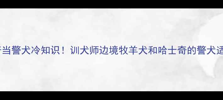 图片 🔥哈士奇当警犬冷知识！训犬师边境牧羊犬和哈士奇的警犬适配度🔥1