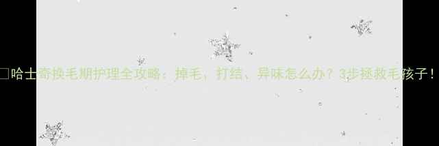 图片 🔥哈士奇换毛期护理全攻略：掉毛、打结、异味怎么办？3步拯救毛孩子！