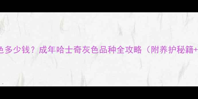 图片 🔥哈士奇灰色多少钱？成年哈士奇灰色品种全攻略（附养护秘籍+避坑指南）2