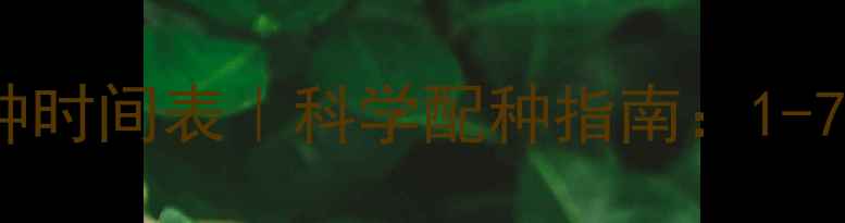 图片 🔥哈士奇配种时间表｜科学配种指南：1-7岁全阶段🐾2