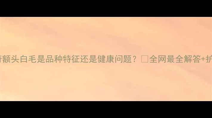 图片 🔥哈士奇额头白毛是品种特征还是健康问题？🐾全网最全解答+护理指南1