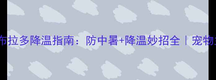 图片 🔥夏季拉布拉多降温指南：防中暑+降温妙招全｜宠物主必看！1