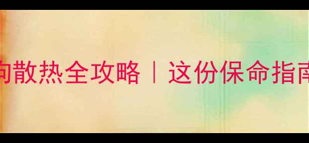 图片 🔥夏季狗狗散热全攻略｜这份保命指南请收好！