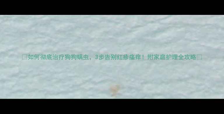 图片 🔥如何彻底治疗狗狗螨虫，3步告别红疹瘙痒！附家庭护理全攻略🔥