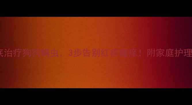 图片 🔥如何彻底治疗狗狗螨虫，3步告别红疹瘙痒！附家庭护理全攻略🔥2