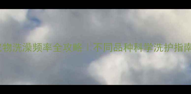 图片 🔥宠物洗澡频率全攻略｜不同品种科学洗护指南✨2