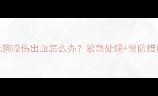 图片 🔥宠物狗被土狗咬伤出血怎么办？紧急处理+预防措施全攻略🐾💉