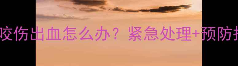 图片 🔥宠物狗被土狗咬伤出血怎么办？紧急处理+预防措施全攻略🐾💉1