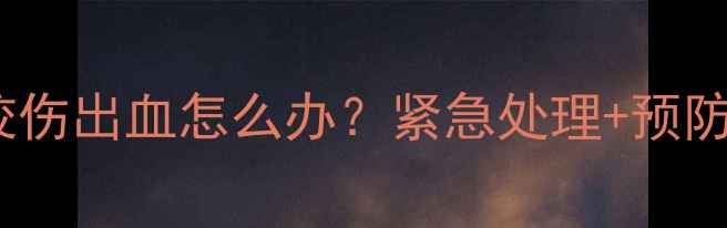 图片 🔥宠物狗被土狗咬伤出血怎么办？紧急处理+预防措施全攻略🐾💉2