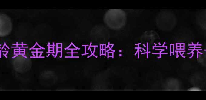 图片 🔥拉布拉多幼犬3-6月龄黄金期全攻略：科学喂养+健康隐患避坑指南💡1