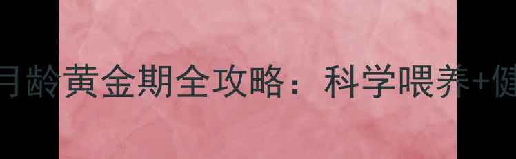 图片 🔥拉布拉多幼犬3-6月龄黄金期全攻略：科学喂养+健康隐患避坑指南💡2