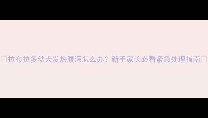 图片 🔥拉布拉多幼犬发热腹泻怎么办？新手家长必看紧急处理指南🐾