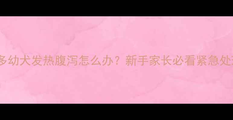 图片 🔥拉布拉多幼犬发热腹泻怎么办？新手家长必看紧急处理指南🐾1