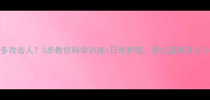 图片 🔥拉布拉多攻击人？3步教你科学训练+日常护理，养出温顺亲人小天使！🐾