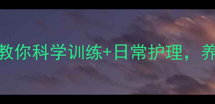图片 🔥拉布拉多攻击人？3步教你科学训练+日常护理，养出温顺亲人小天使！🐾1