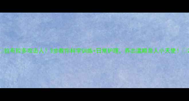 图片 🔥拉布拉多攻击人？3步教你科学训练+日常护理，养出温顺亲人小天使！🐾2