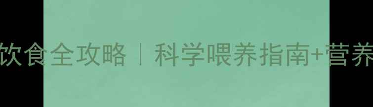 图片 🔥拉布拉多母犬经期饮食全攻略｜科学喂养指南+营养食谱（附误区避坑）