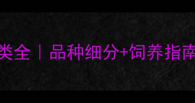 图片 🔥拉布拉多犬分类全｜品种细分+饲养指南（附选犬攻略）