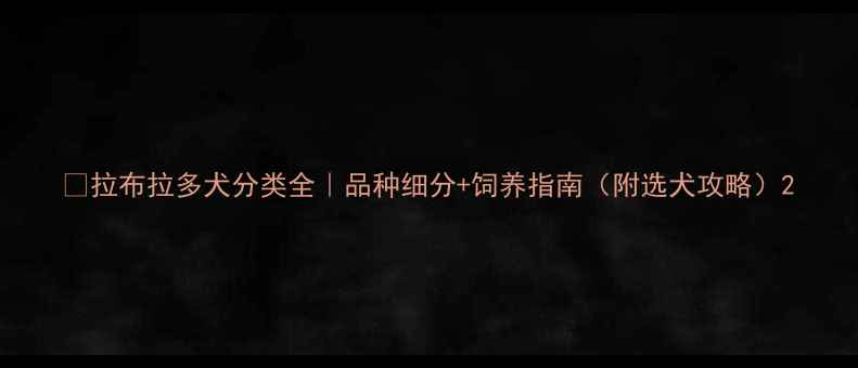 图片 🔥拉布拉多犬分类全｜品种细分+饲养指南（附选犬攻略）2