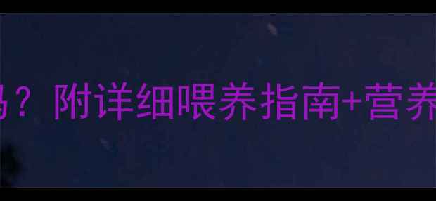 图片 🔥拉布拉多能吃牛肉吗？附详细喂养指南+营养禁忌，新手必看！🐾2