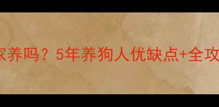 图片 🔥拉布拉多适合家养吗？5年养狗人优缺点+全攻略！附防坑指南2