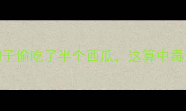 图片 🔥救命！我家狗子偷吃了半个西瓜，这算中毒还是养生？🐶💥