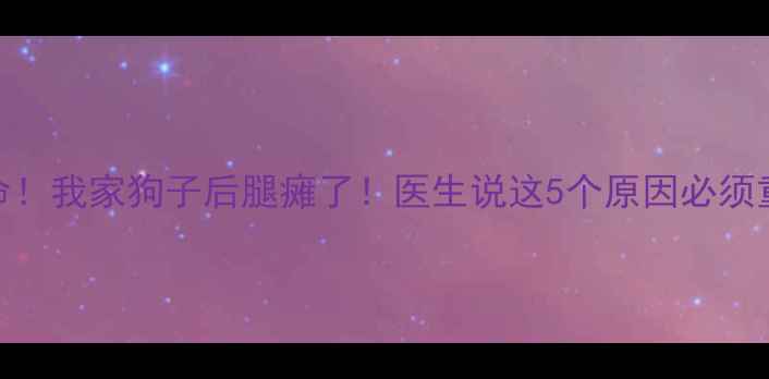 图片 🔥救命！我家狗子后腿瘫了！医生说这5个原因必须重视！