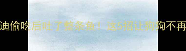 图片 🔥救命！泰迪偷吃后吐了整条鱼！这5招让狗狗不再乱吃东西🐾