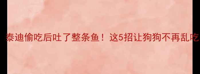图片 🔥救命！泰迪偷吃后吐了整条鱼！这5招让狗狗不再乱吃东西🐾1