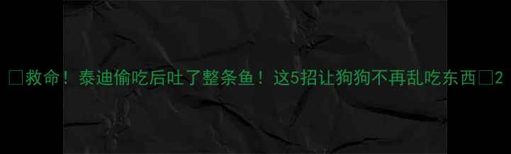 图片 🔥救命！泰迪偷吃后吐了整条鱼！这5招让狗狗不再乱吃东西🐾2