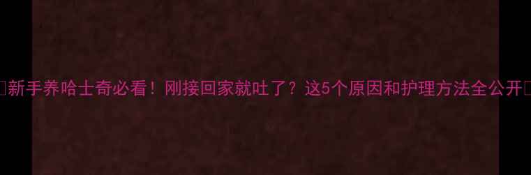 图片 🔥新手养哈士奇必看！刚接回家就吐了？这5个原因和护理方法全公开🐾