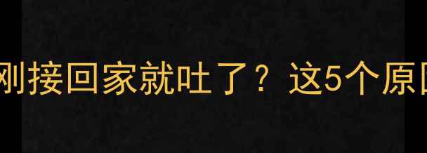图片 🔥新手养哈士奇必看！刚接回家就吐了？这5个原因和护理方法全公开🐾2