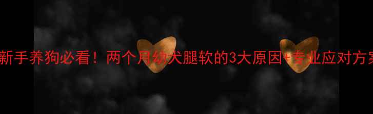 图片 🔥新手养狗必看！两个月幼犬腿软的3大原因+专业应对方案2