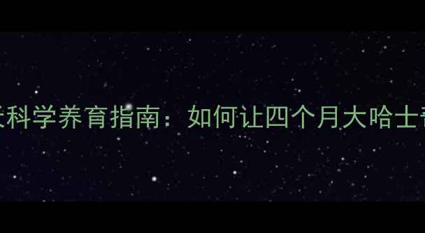 图片 🔥新手必看！90天科学养育指南：如何让四个月大哈士奇健康快乐成长🔥