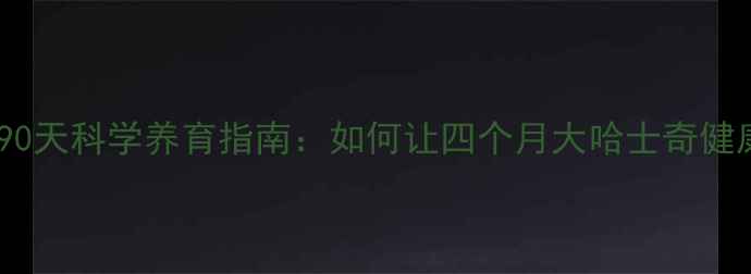 图片 🔥新手必看！90天科学养育指南：如何让四个月大哈士奇健康快乐成长🔥1