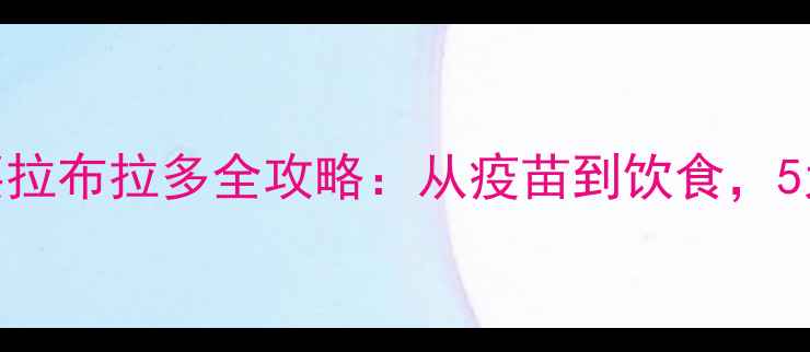 图片 🔥新手必看！新买拉布拉多全攻略：从疫苗到饮食，5大关键点避坑指南