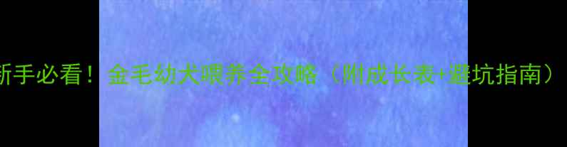 图片 🔥新手必看！金毛幼犬喂养全攻略（附成长表+避坑指南）🐾1