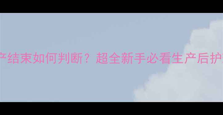 图片 🔥母犬生产结束如何判断？超全新手必看生产后护理指南🐾1