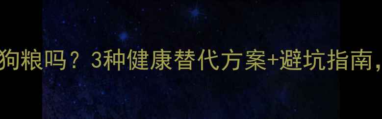 图片 🔥泰迪可以不吃狗粮吗？3种健康替代方案+避坑指南，养泰迪必看！1