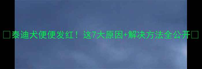 图片 🔥泰迪犬便便发红！这7大原因+解决方法全公开🐾