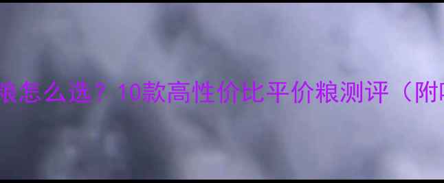 图片 🔥泰迪犬狗粮怎么选？10款高性价比平价粮测评（附喂食指南）2