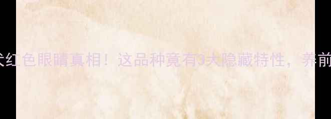 图片 🔥泰迪犬红色眼睛真相！这品种竟有3大隐藏特性，养前必看🔥2