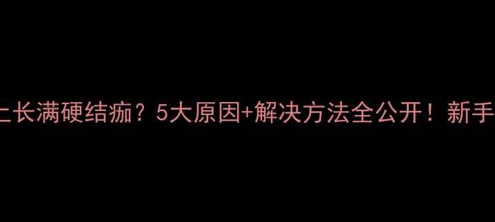 图片 🔥泰迪犬身上长满硬结痂？5大原因+解决方法全公开！新手养狗必看💡2