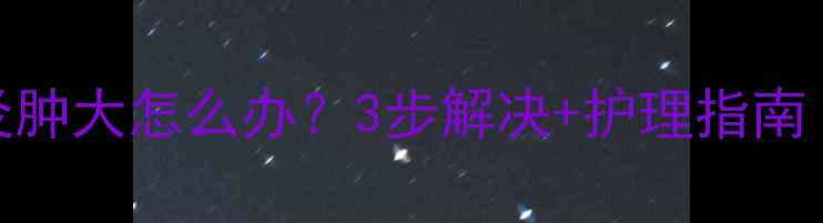 图片 🔥泰迪肛门腺炎肿大怎么办？3步解决+护理指南（附真实案例）